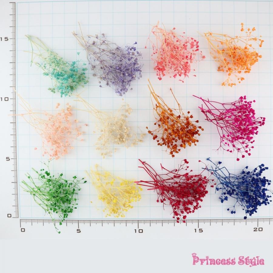 かすみ草 ドライフラワー 小分け ハーバリウム 花材 白 黄 緑 紫 赤 青等 12色 セット Yy 969 3 Princess Style ヤフー店 通販 Yahoo ショッピング