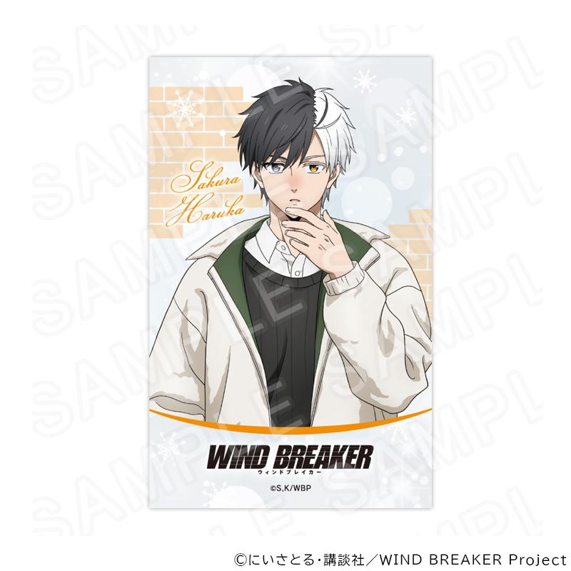 03/25 発送予定】 TVアニメ『WIND BREAKER』描き下ろしトレーディング
