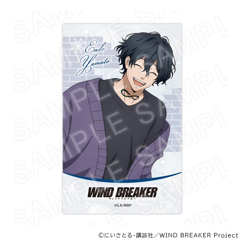 06/17 発送予定】 TVアニメ『WIND BREAKER』描き下ろしトレーディング