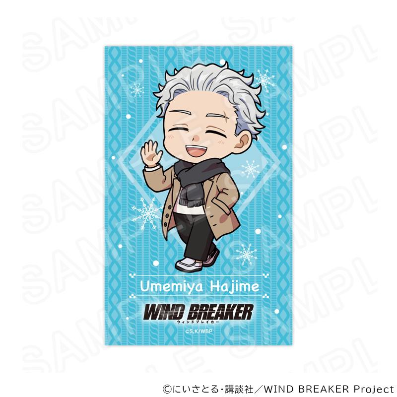 06/24 発送予定】 TVアニメ『WIND BREAKER』ミニキャラカードセット