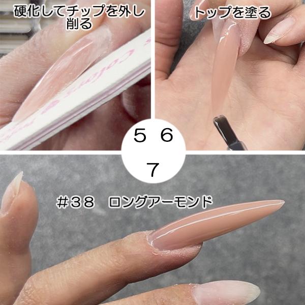 サンドイッチドュアルフォーム 140セッ ト長さだし ロングネイル 長さ