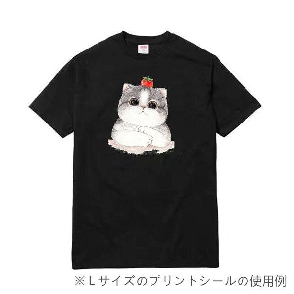 ワッペン アップリケ おしゃれ アイロン 大きい かわいい キャラクター ディズニー 花柄 プリントシール 母の日ギフト 1910 16 Princessrose03 通販 Yahoo ショッピング