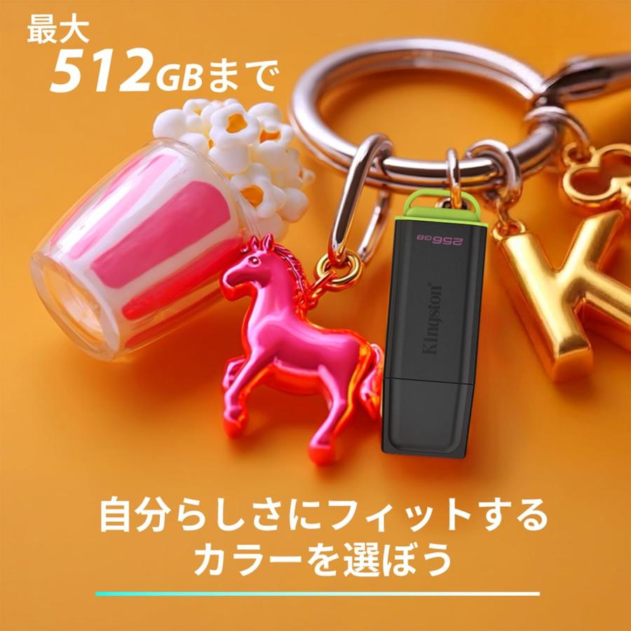 Kingston（キングストン） 【メーカー取り寄せ】キングストン USB