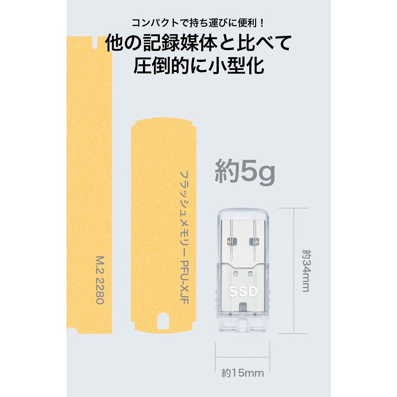 PRINCETON（プリンストン） ポータブルSSD 250GB USB 3.2 Gen2対応