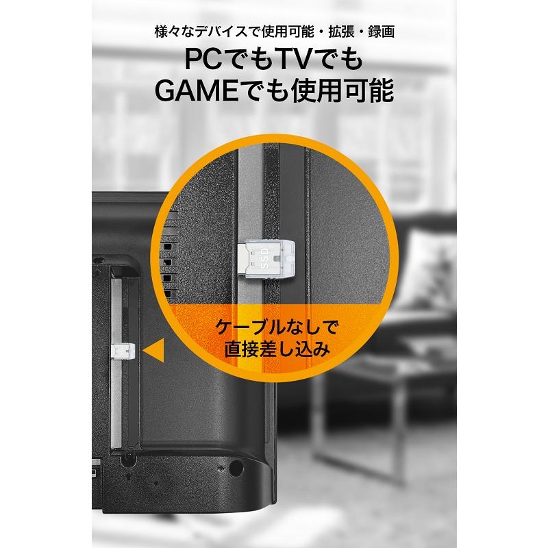 PRINCETON（プリンストン） ポータブルSSD 250GB USB 3.2 Gen2対応