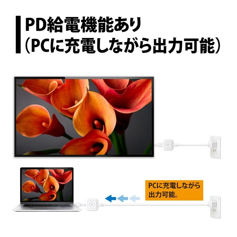 PRINCETON（プリンストン） SP Cast Pocket Mini USB PD給電機能付