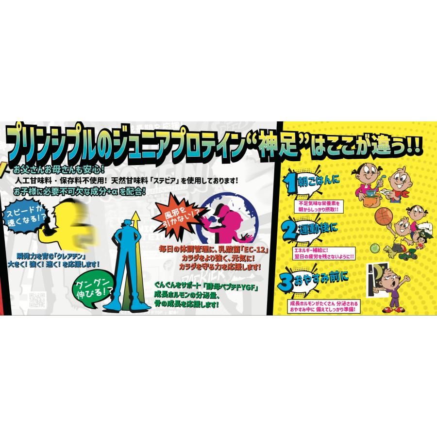 【メーカー本店】JUNIOR PROTEIN 神足（ジュニア プロテイン シンソク）450g ミルクココア風味 |  | 02