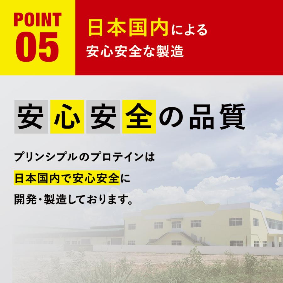 【メーカー本店】MORNING BOOSTER PROTEIN（モーニング ブースター プロテイン）450g ミックスベリー風味 |  | 07