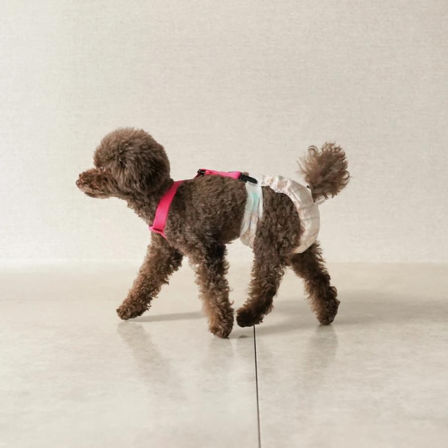 犬のサスペンダー ズレヘンダー おむつずれ防止 マナーパンツ マナーベルト ペット用 爆買 | ブランド登録なし | 20