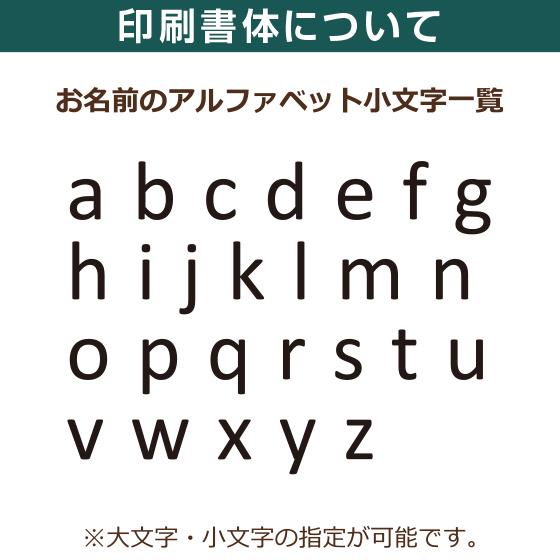 プレゼント おじいちゃん Tシャツ 名前入り イラスト ラッピング 送料無料 本体5色展開 メッセージカード入 綿100 5 6oz R 02 オリジナルプリントウェアのp Lab 通販 Yahoo ショッピング
