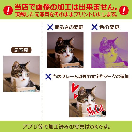 Tシャツ オリジナル 写真 プリント 作成 フレーム テンプレート 1枚から 写真入り プレゼント 自作 安い 父の日 ペット 綿100％ ホワイト | United Athle | 17