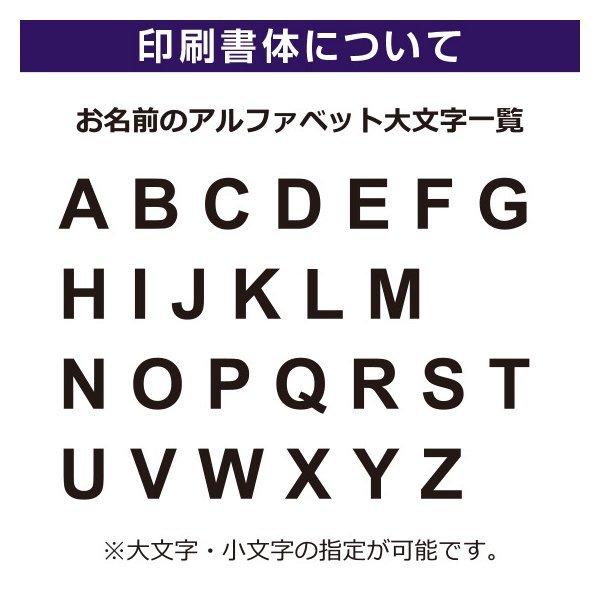 プレゼント 還暦祝い 名入れ tシャツ 筆文字 60歳 赤  お祝い 女性 男性 ギフト 贈り物 綿100％ タンブラー 以外 筆T｜print-laboratory｜05