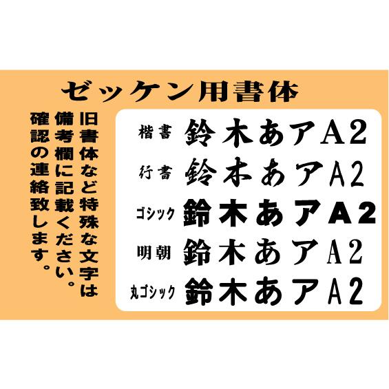 ライム ビブス チーム名 番号 黒 プリント 昇華プリント ゼッケン