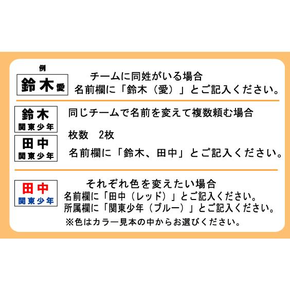 剣道垂　ゼッケン　小　H24cm×W16cm　ぜっけん |  | 04