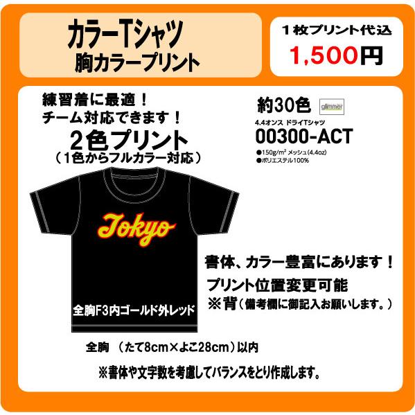 オリジナルTシャツ チーム名 2色 カラープリント DTF : プリントりん