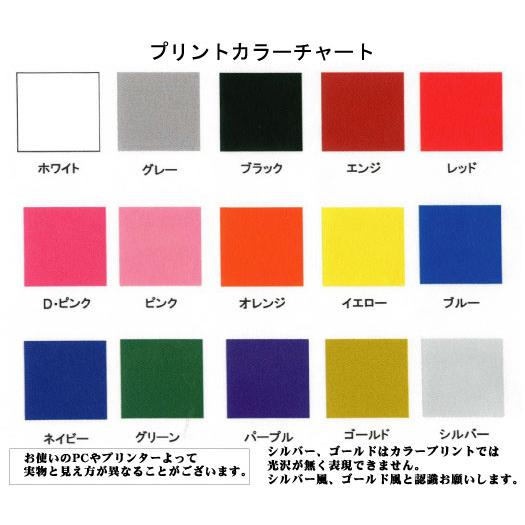 オリジナルTシャツ チーム名 2色 カラープリント DTF : プリントりん