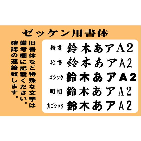セカンドユニフォーム Tシャツ 胸チーム名 背番号 2色 昇華プリント