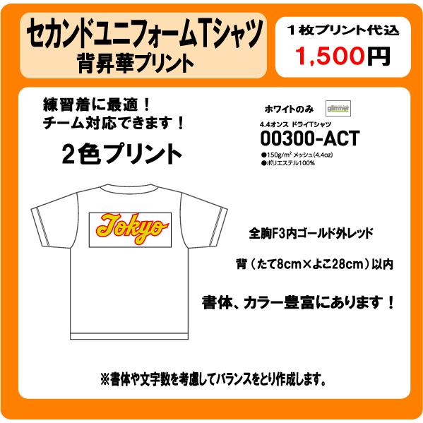 セカンドユニフォーム Tシャツ 背 チーム名 2色 昇華プリント