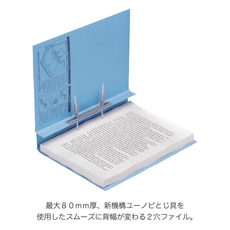 LIHIT LAB.（リヒトラブ） 5冊セット 2穴 A4 ユーノビファイル 背幅が