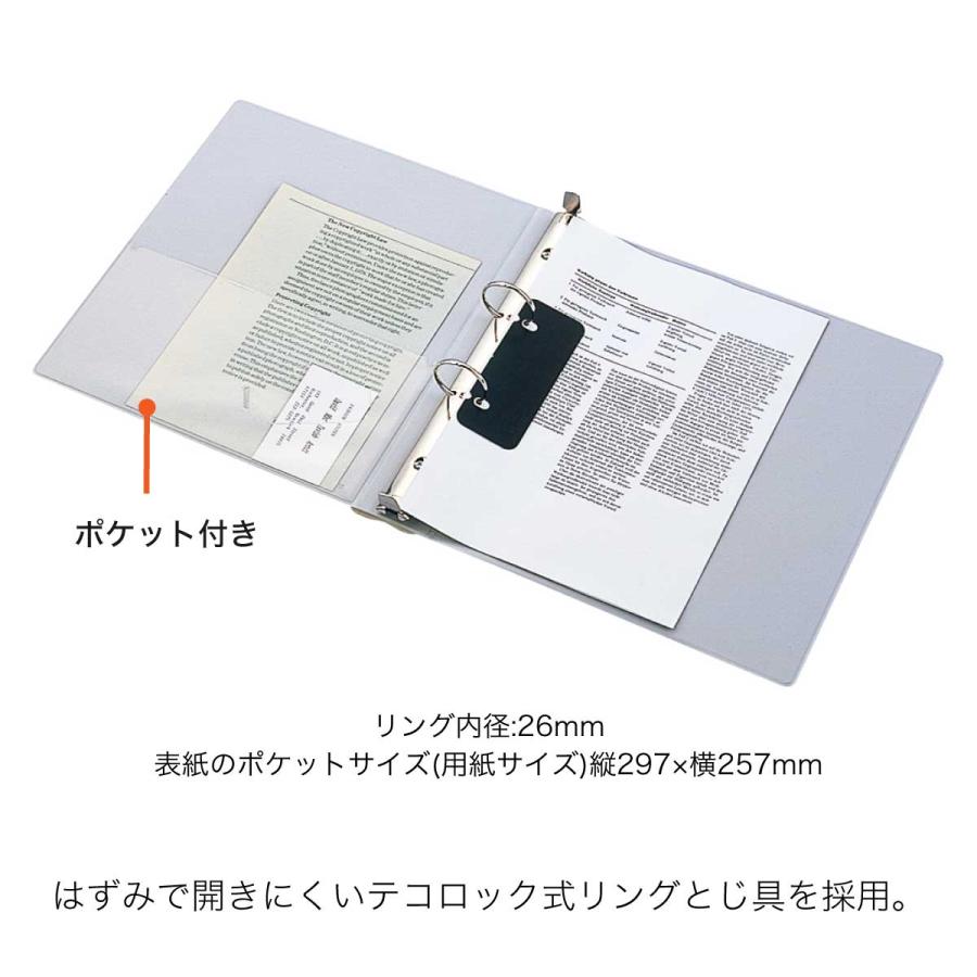 [リヒトラブ] 5冊セット カタログバインダー 2穴 A4 F-810 F-811 S型 カタログ ファイル バインダー まとめ買い LIHIT LAB.の画像