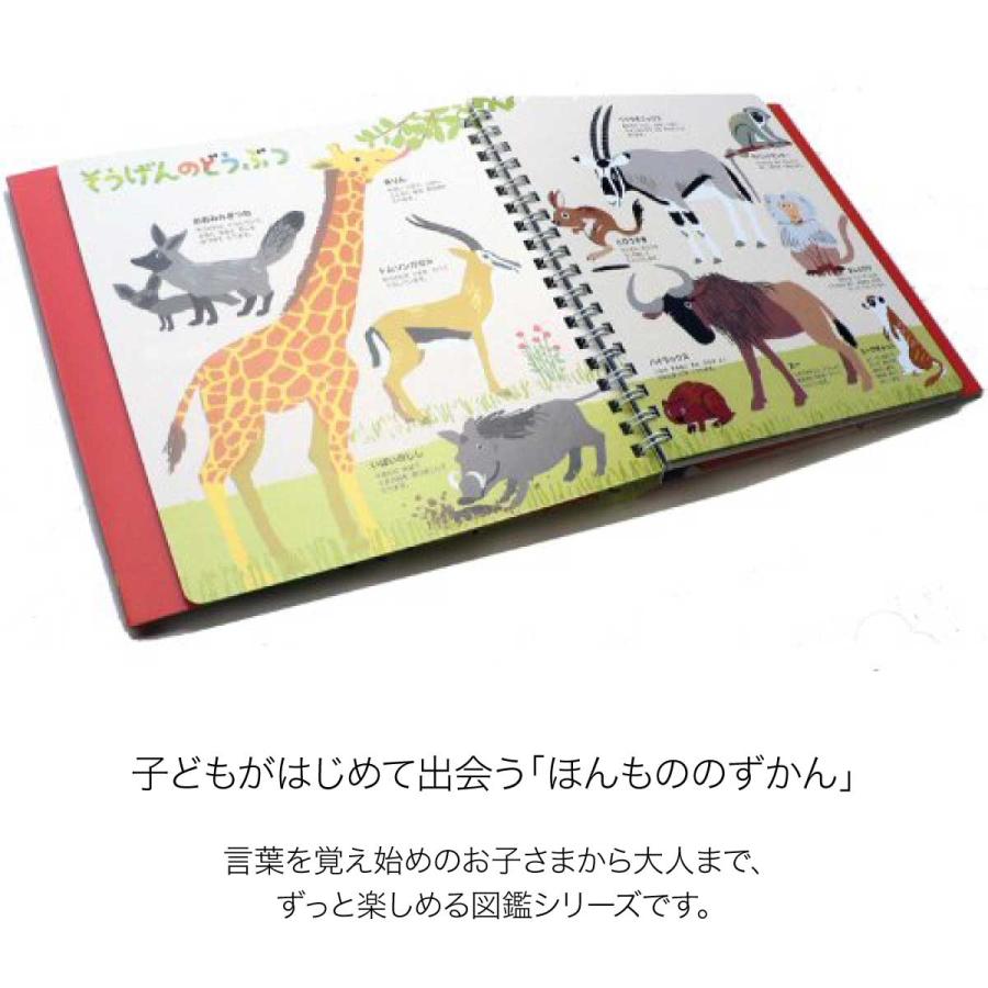 KOKUYO（コクヨ） はじめてずかん どうぶつ1 KE-HZ1 動物 図鑑