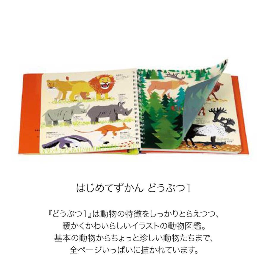 KOKUYO（コクヨ） はじめてずかん どうぶつ1 KE-HZ1 動物 図鑑