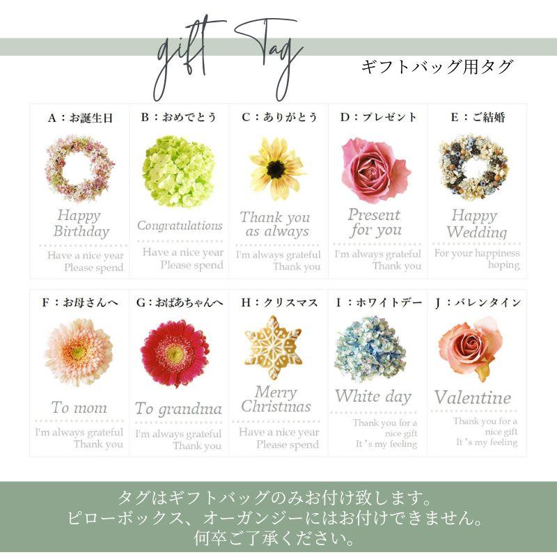 ゴルフマーカー ネックレス SWAROVSKI ワンカラー 女性用 ゴルフ用品 ゴルフ用品 ギフトラッピング無料｜printemps-0410｜12