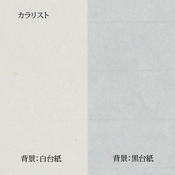 ＯＡ和紙 カラリスト Ａ３ 10枚入 コピー機・レーザープリンタ用 クリックポスト全国無料配送 | 和紙のイシカワ | 02