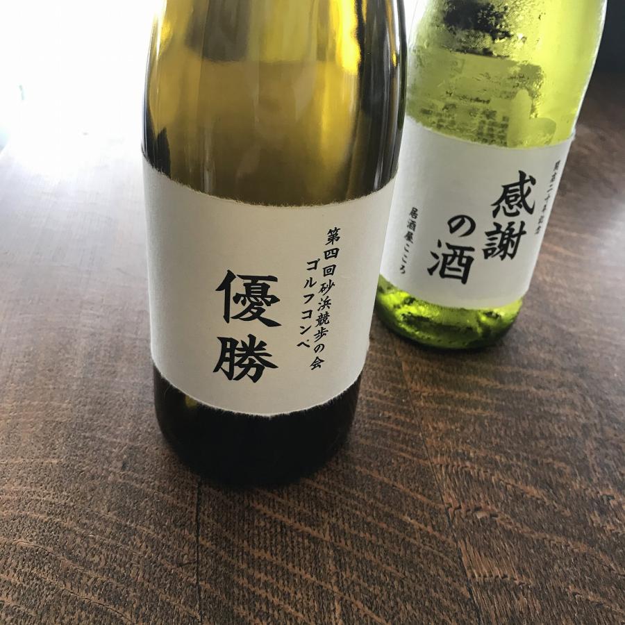 ＯＡ和紙 カラリスト Ａ４ 10枚入 コピー機・レーザープリンタ用 クリックポスト全国無料配送 | 和紙のイシカワ | 01