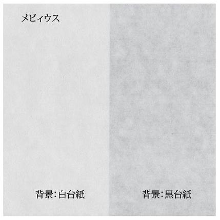 ＯＡ和紙 超厚（約１６０μm） メビィウス  1050mm×790mm 10枚入　インクジェット・レーザー共用 メーカー直送商品 | 和紙のイシカワ | 04
