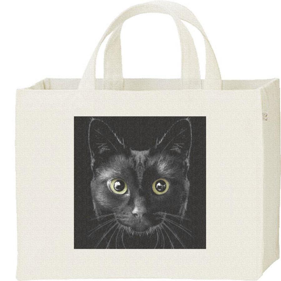 暗闇の黒猫（くろねこ）/キャンバスバッグ・スクエア　カレッジバッグ | 