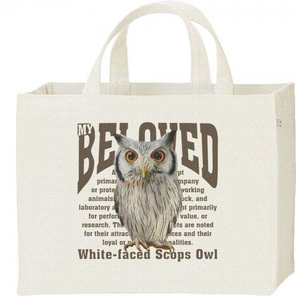 アフリカ オオコノハズク（梟）フクロウ/ペット シリーズ/キャンバスバッグ・スクエア　カレッジバッグ | 