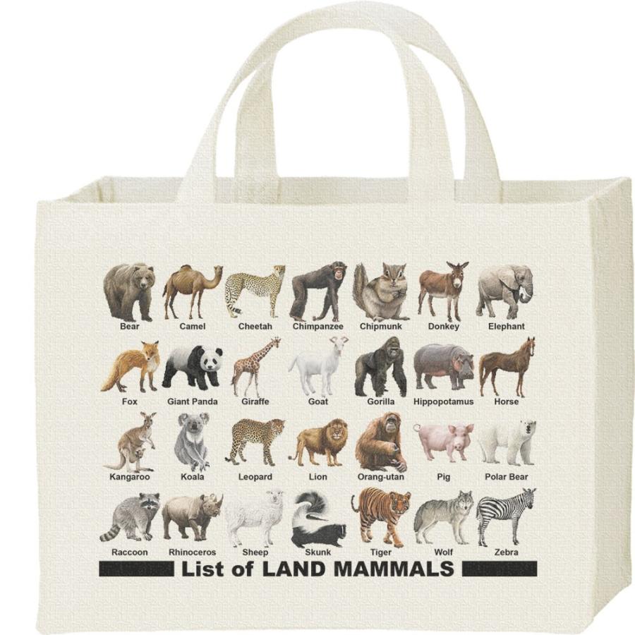 陸上 哺乳類のリスト/キャンバスバッグ・スクエア　カレッジバッグ | 