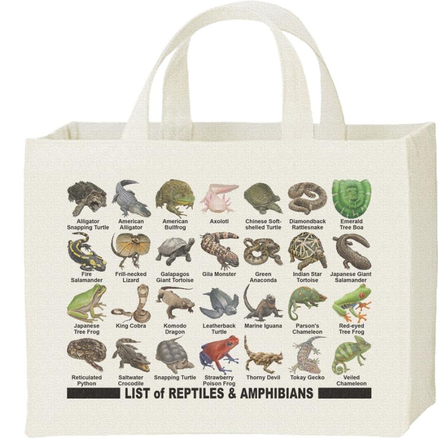 爬虫類＆両生類のリスト/キャンバスバッグ・スクエア　カレッジバッグ | 