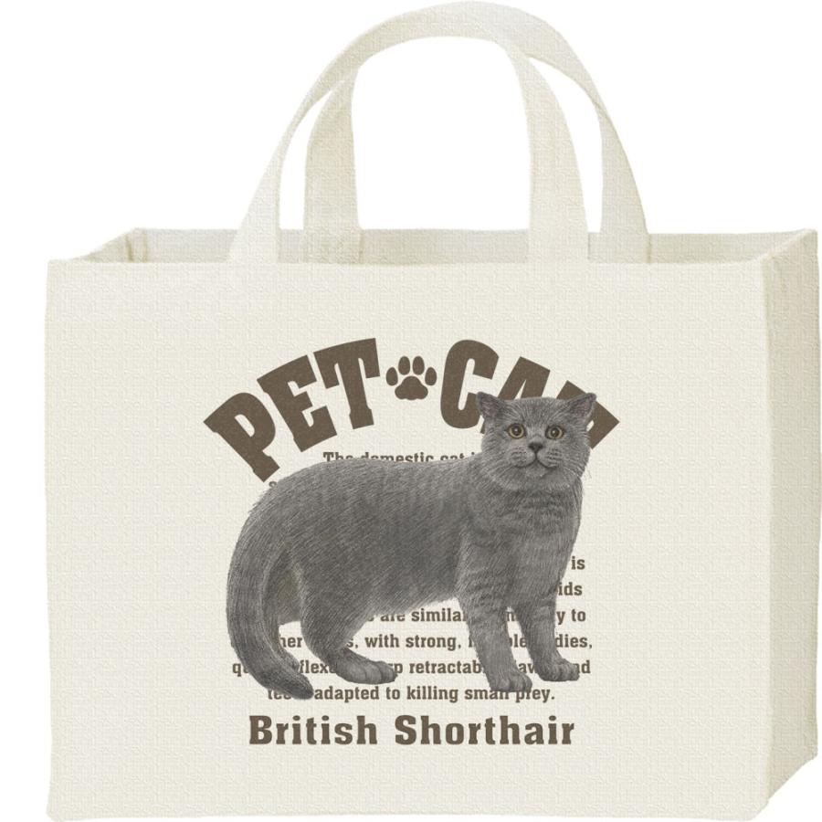 ブリティッシュ ショートヘア（愛猫シリーズ）/キャンバスバッグ・スクエア　カレッジバッグ | 