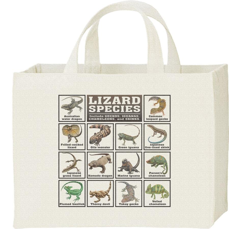 トカゲの仲間たち/キャンバスバッグ・スクエア　カレッジバッグ | 