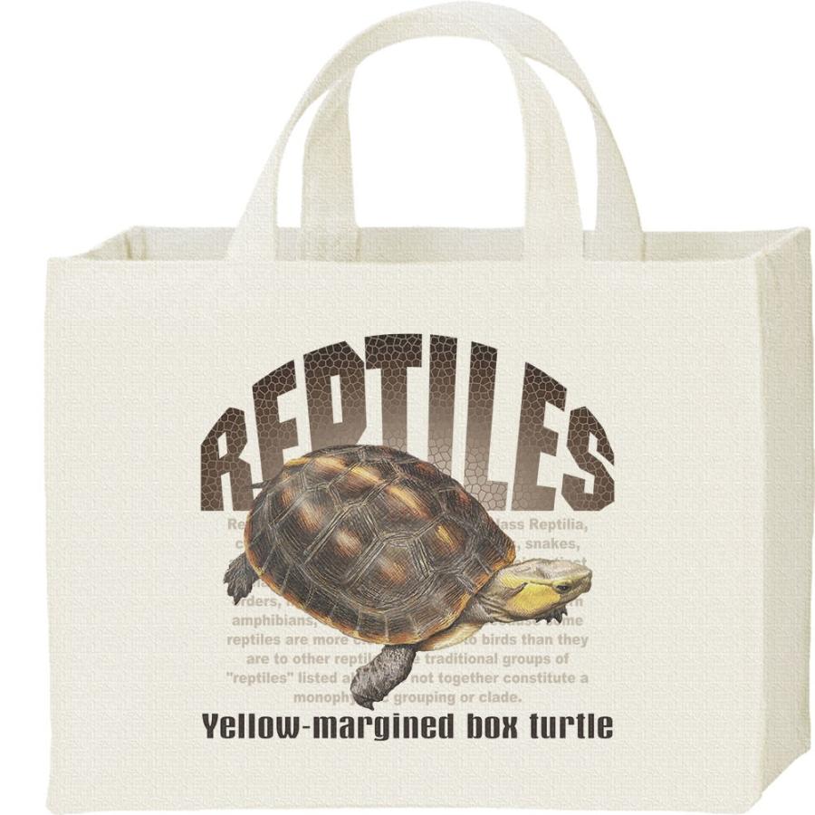 セマルハコガメ（亀）爬虫類シリーズ/キャンバスバッグ・スクエア　カレッジバッグ | 