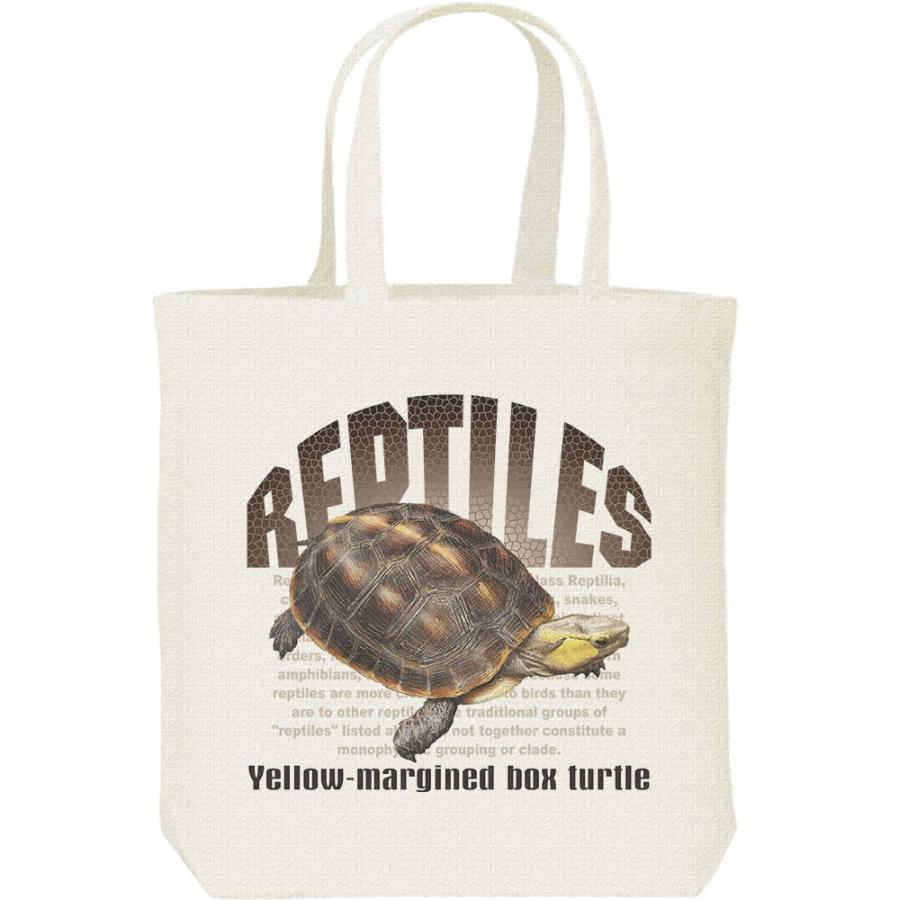 セマルハコガメ（亀）爬虫類シリーズ/キャンバスバッグ・M　トートバッグ | 