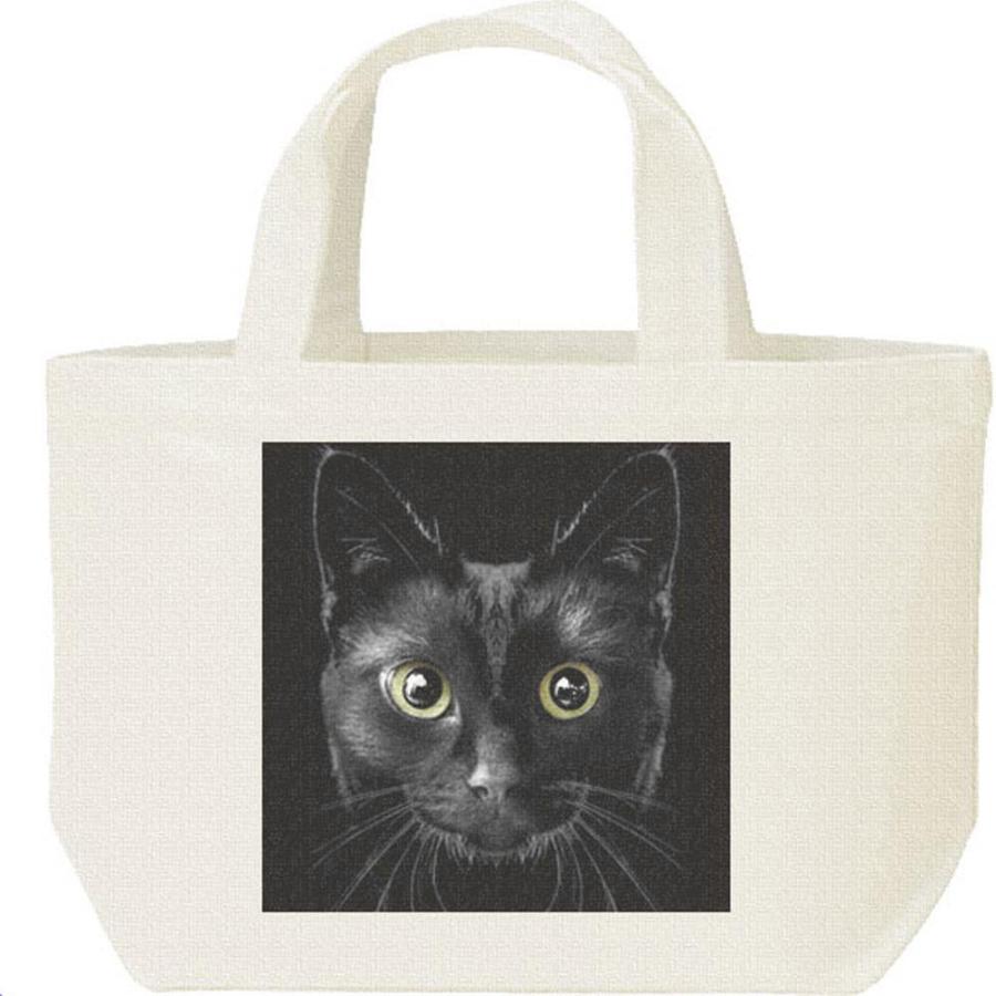 暗闇の黒猫（くろねこ）/キャンバスバッグ・S　ランチバッグ | 