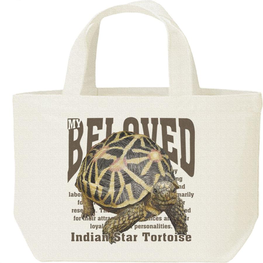 インド ホシガメ 亀 かめ ペット シリーズ キャンバスバッグ S ランチバッグ Bs4 Myds 通販 Yahoo ショッピング