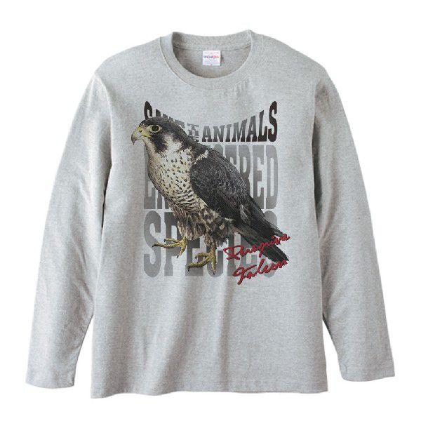 隼（はやぶさ）絶滅危惧動物（ハヤブサ）/長袖Ｔシャツ |  | 01