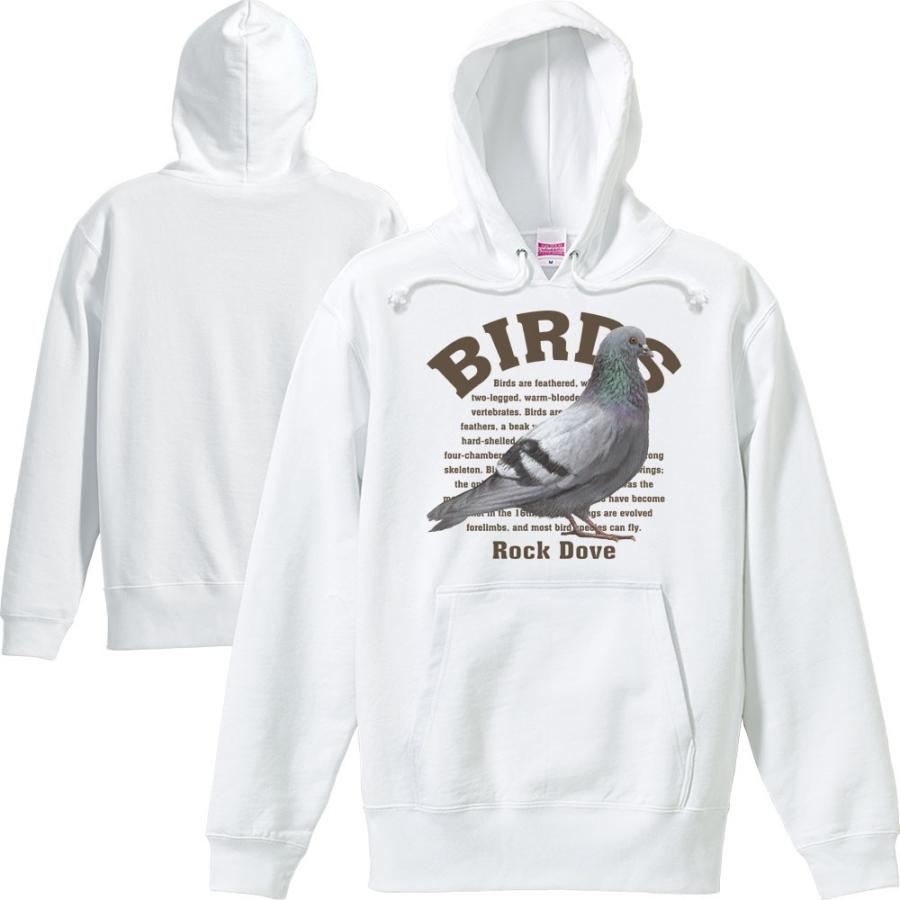 灰色のハト ハトの仲間（出会った鳥たち） 「気ままに自然観察」