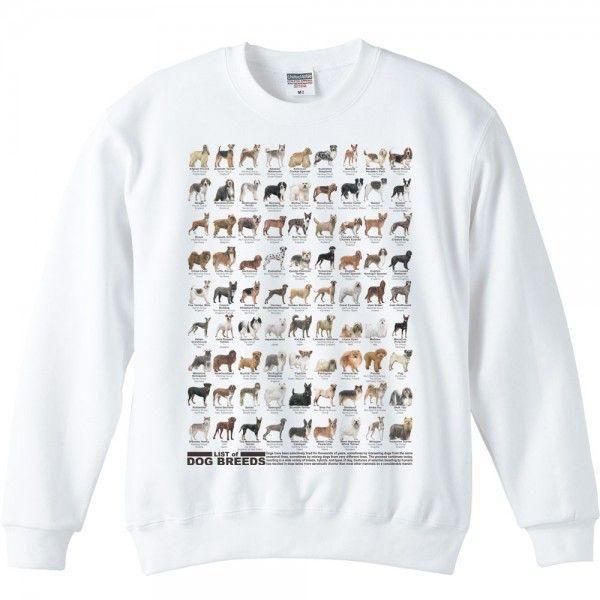 犬のリスト（グループ・原産地）/トレーナー | 