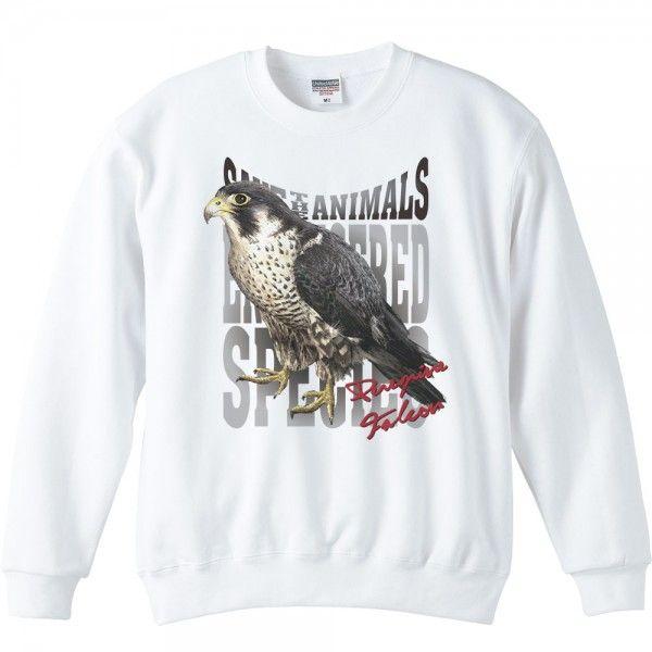 隼（はやぶさ）絶滅危惧動物（ハヤブサ）/トレーナー | 