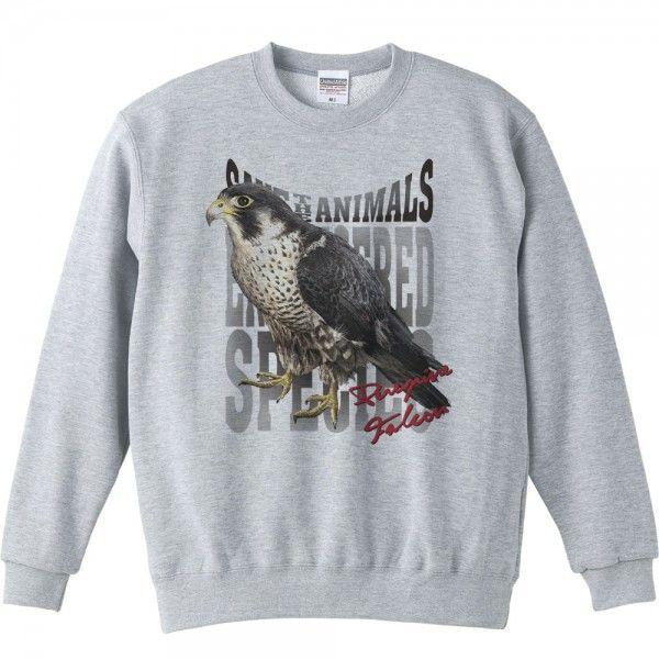 隼（はやぶさ）絶滅危惧動物（ハヤブサ）/トレーナー |  | 01