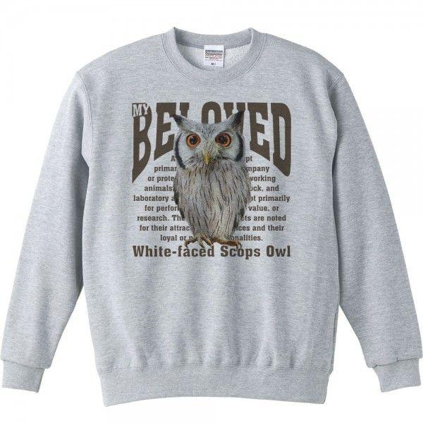 アフリカ オオコノハズク（梟）フクロウ/ペット シリーズ/トレーナー |  | 01