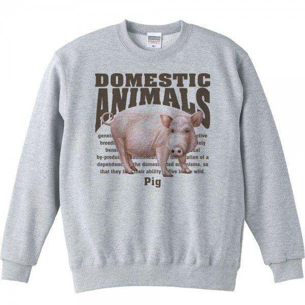 豚（ブタ）/飼育動物・家畜/トレーナー |  | 01