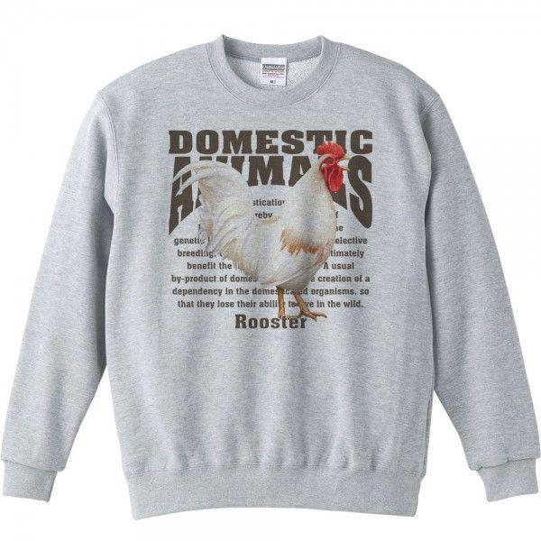 鶏（ニワトリ）/飼育動物・家畜/トレーナー |  | 01