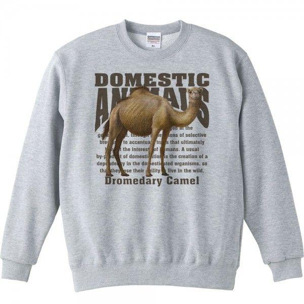 ヒトコブ ラクダ/飼育動物・家畜/トレーナー |  | 01