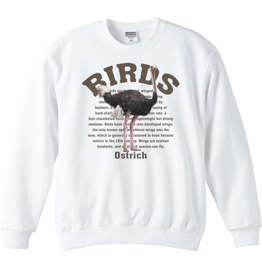 ダチョウ（鳥シリーズ）/トレーナー | 